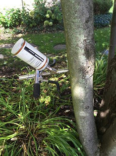 tree fertilizing at Doug's Tree and Lawn Care